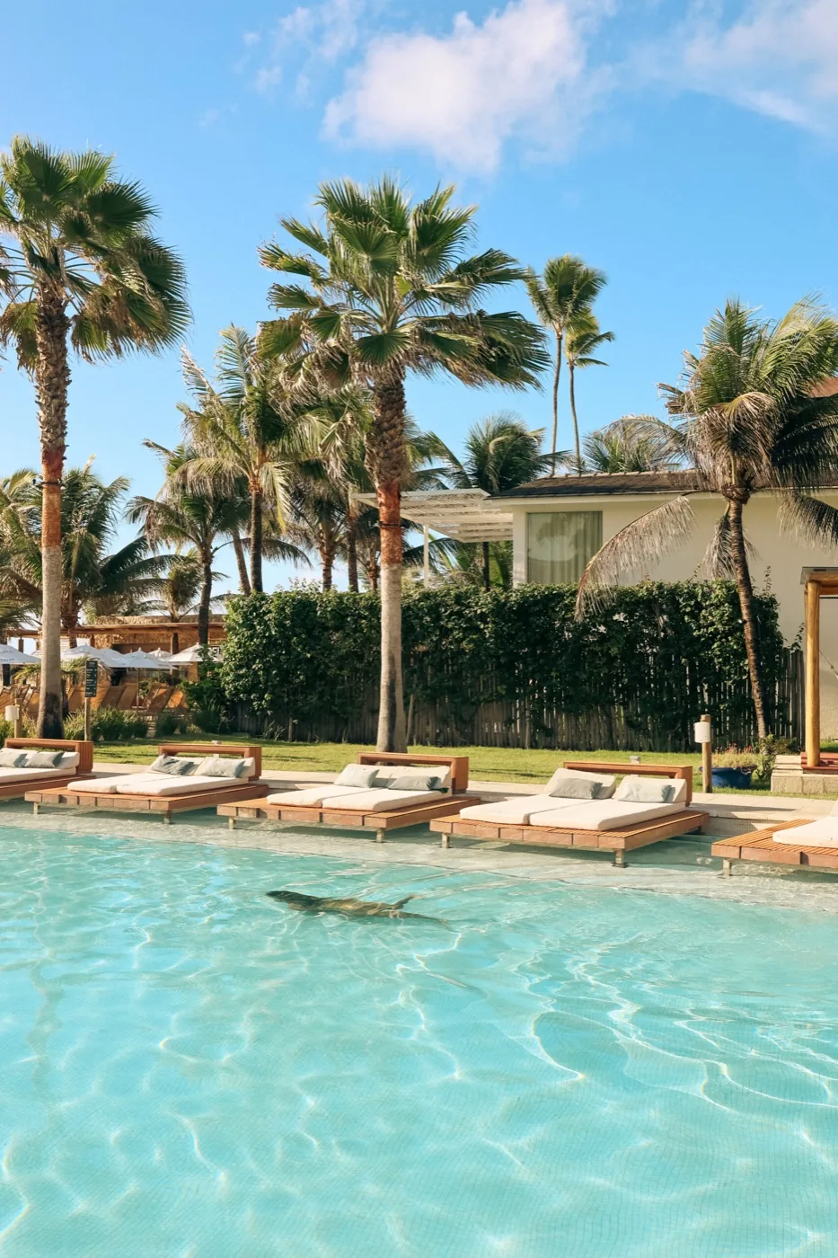 Piscina e espreguiçadeiras no The Westin Porto de Galinhas